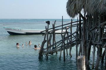 Private Appleton Estate Rum and Pelican Bar Tour from Montego Bay