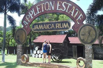 Private Appleton Estate Rum Tour from Montego Bay