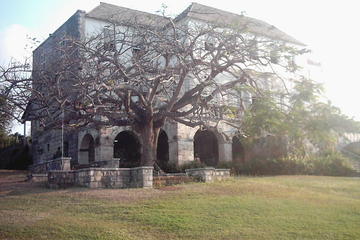 Rose Hall Great House Tour from Falmouth