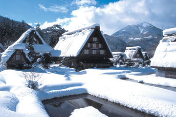 2D1N Bus Tour Tokyo - Kyoto, Osaka through Mt Fuji, Hida Takayama, Shirakawago