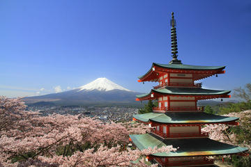 2D1N Osaka,Kyoto - Tokyo Bus Tour through Shirakawago, Hida Takayama and Mt Fuji