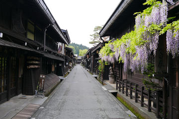 2D1N Sightseeing Tour from Osaka, Kyoto to Shirakawago, Hida Takayama, Kenrokuen