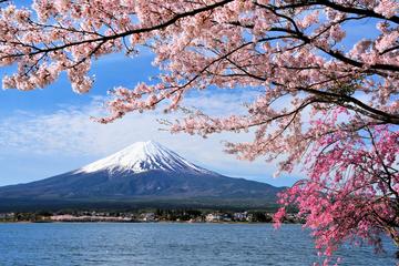 3D2N Tokyo - Kyoto,Osaka Tour (Mt Fuji, Kawaguchiko, Hida Takayama, Shirakawago)