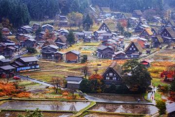 3D2N Tour Osaka, Kyoto-Tokyo (Shirakawago, Hida Takayama, Mt Fuji, Kawaguchiko)