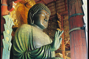 Day Trip by Bus from Osaka to Kyoto and Nara