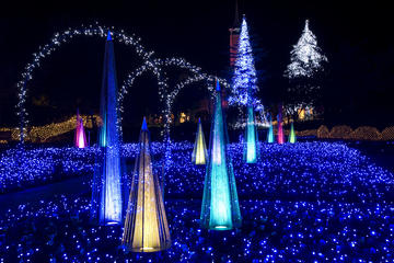 Nabana-no-sato Winter Illumination