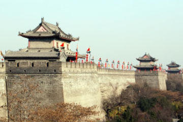 Xi'an Half-Day City Tour - Shaanxi History Museum and Big Wild Goose Pagoda