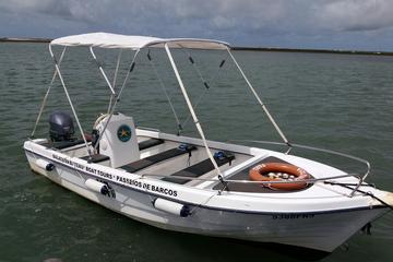 From Faro: Family Boat Trip in Ria Formosa Natural Park - 1 Hour