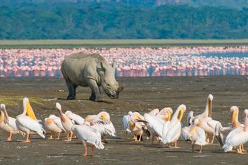 1 Night 2 Days Lake Naivasha,Hells Gate, Lake Nakuru Tour From Nairobi