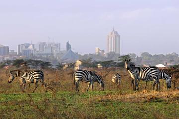 Full-Day Nairobi National Park, Elephant Orphanage, Giraffe Center and Karen Blixen Museum Guided Tour