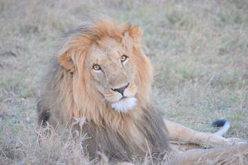 Half Day Nairobi National Park Tour From Nairobi