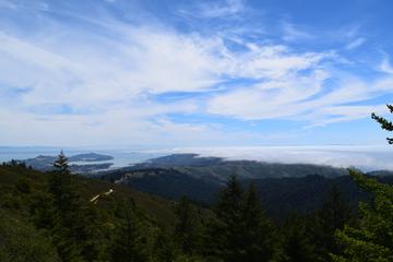 Mount Tamalpais Views and Redwoods Hike