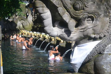 Bali Traditional Tours