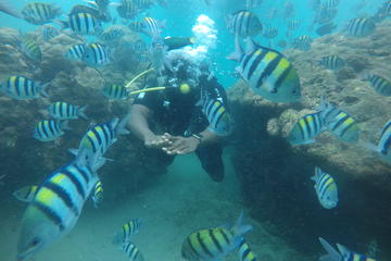 Discover Scuba Diving ( beginners) Combined With Jet Ski