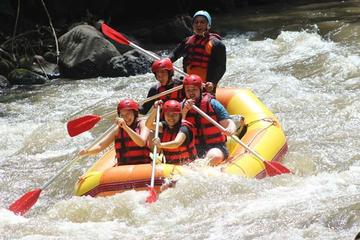 Package Ayung Rafting and Ubud Tours