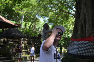 Ubud Monkey Forest and Rice Terrace Tours