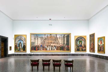 Brera Gallery and Sforza Castle Private Tour with Local Guide
