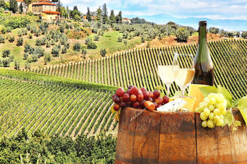 Chianti Wine Tasting tour from Florence or Siena with local driver guide