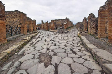 Herculaneum ruins and Naples National Archaeological Museum private tour