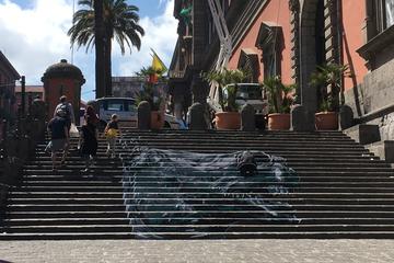 Naples National Archaeological Museum and historical centre private tour