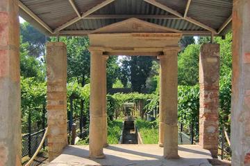 Pompeii Full-day Tour Including all Highlights and Newly Opened Houses