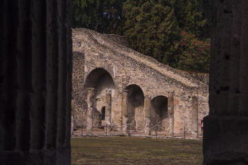 Pompeii ruins and Archaeological Museum private tour from Naples or Sorrento