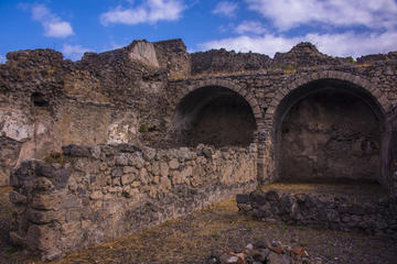Pompeii ruins and Archaeological Museum private tour from Rome