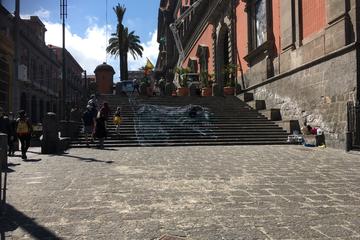 Pompeii ruins and Naples National Archaeological Museum private tour