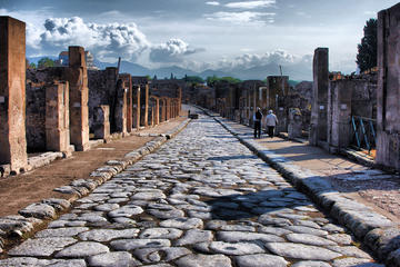 Private Day Tour from Rome to Pompeii and Herculaneum
