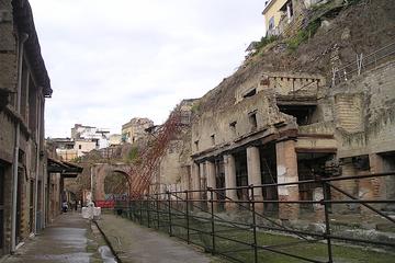 Private Herculaneum and Archaeological Museum Tour from Rome