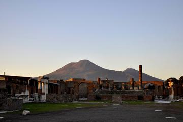 Private Tour of Pompeii from Rome with Lunch & Wine Tasting