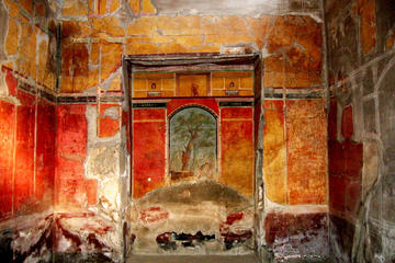 Skip-the-lines Herculaneum and Oplontis Private Guided Tour