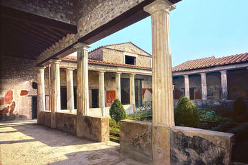 Skip-the-lines Private full day tour of Ancient Pompeii and Herculaneum with local guide