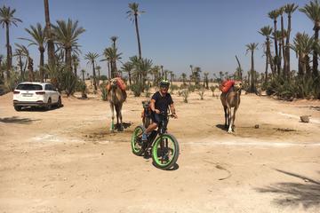 Fat Bikes Adventure from Marrakech