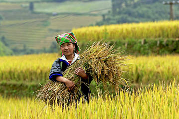 5-Day Private Tour of the Vietnam Mountains from Hanoi