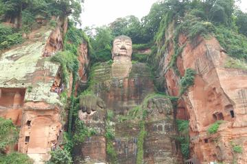 Chengdu Highlights Private Day Tour of The Panda Breeding Center and Leshan Giant Buddha