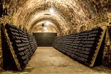 All-Day Intimate Champagne Tour From Paris with Pick up and Drop Hotel