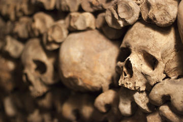 Catacombs of Paris Skip-the-Line Tour with Special Access