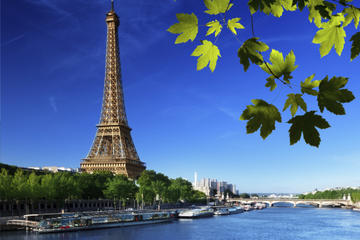Paris City Tour with Seine River Cruise and Eiffel Tower Lunch
