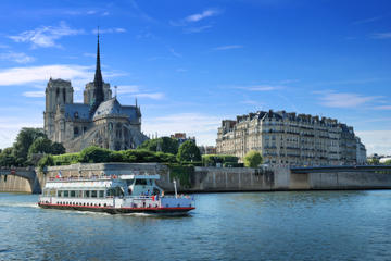 Private Tour: Paris City Sightseeing and Seine River Cruise with Lunch at the Eiffel Tower