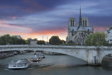 Seine River Cruise, Paris Illuminations and Dinner on the Champs-Elysees