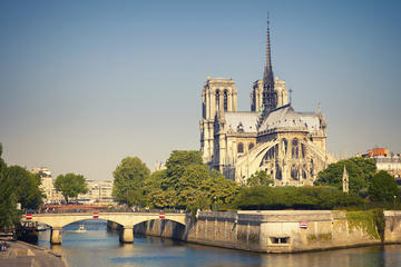 Sightseeing Tour of Paris with Lunch Cruise