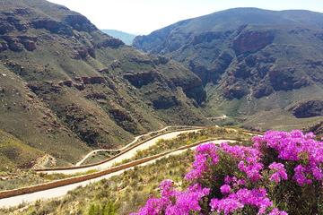 Half-Day Swartberg Pass Tour from Oudtshoorn