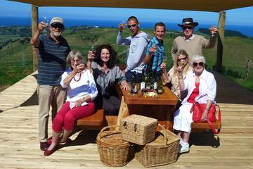 Napier Afternoon Wine Tour