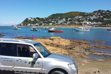Full-Day Wellington Sightseeing Tour