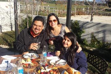 Private Full-Day Martinborough Wine Tour From Wellington