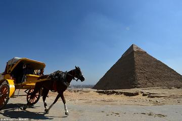 Half Day Tour to Giza pyramids by horse carriage
