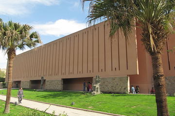 half day tour visit luxor mummification museums