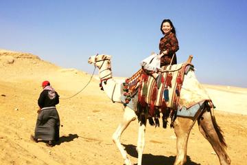 Layover to Giza pyramids with riding camel for Early Morning Arrival