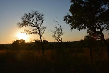 Two days One Night Blyde River to Kruger National Park